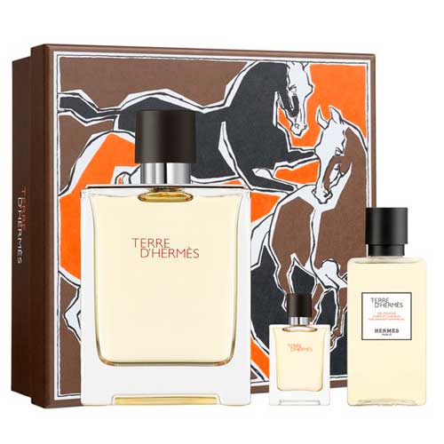 Hermes Terre D'Hermes 100ml Edt + 5ml Edt + 40ml BSG 3pcs Gift Set