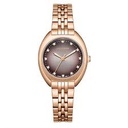 Lee Cooper Watch For Women LC07989.410